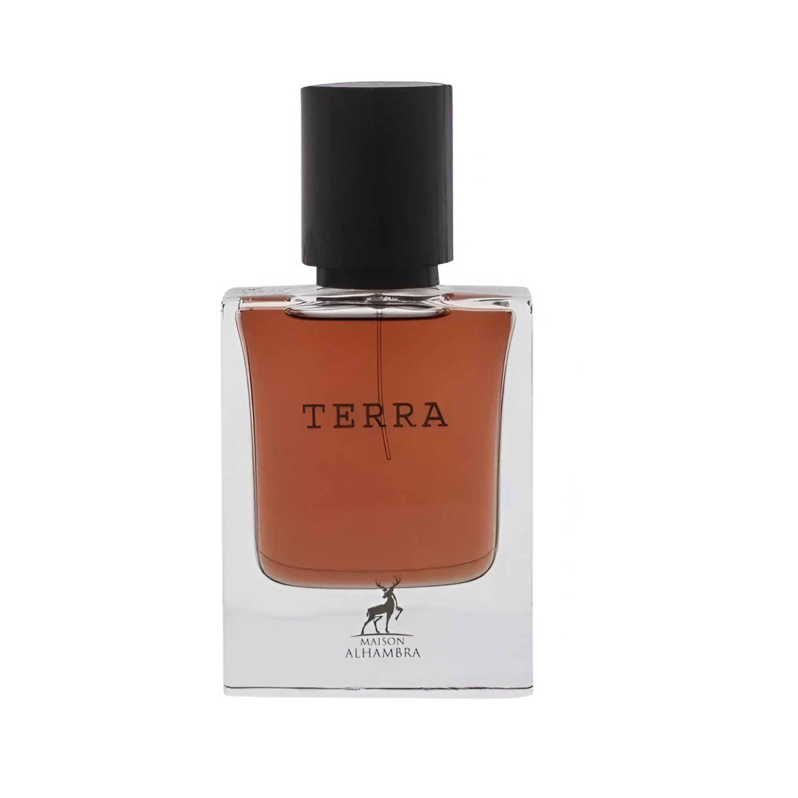 Terra